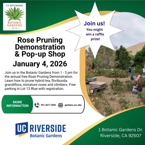 Photo post from ucrbotanicgardens.