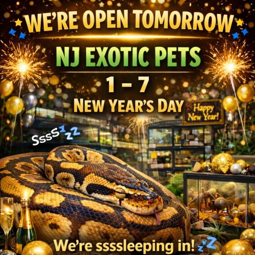 Photo post from njexoticpets.