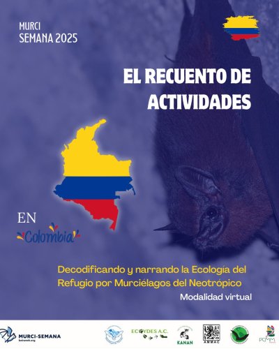 Carousel post from murcisemana_oficial.