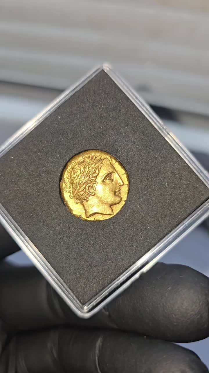 Video post from nemagnit.company.