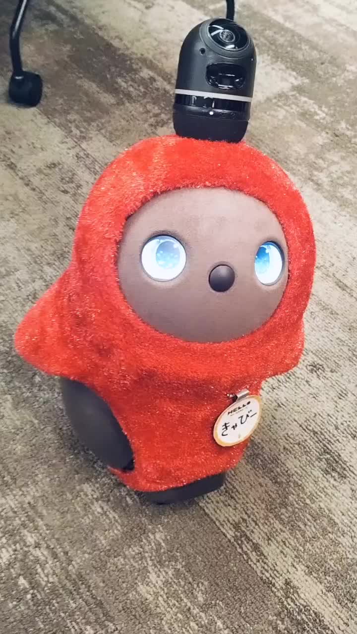 Video post from lovot_cabby.