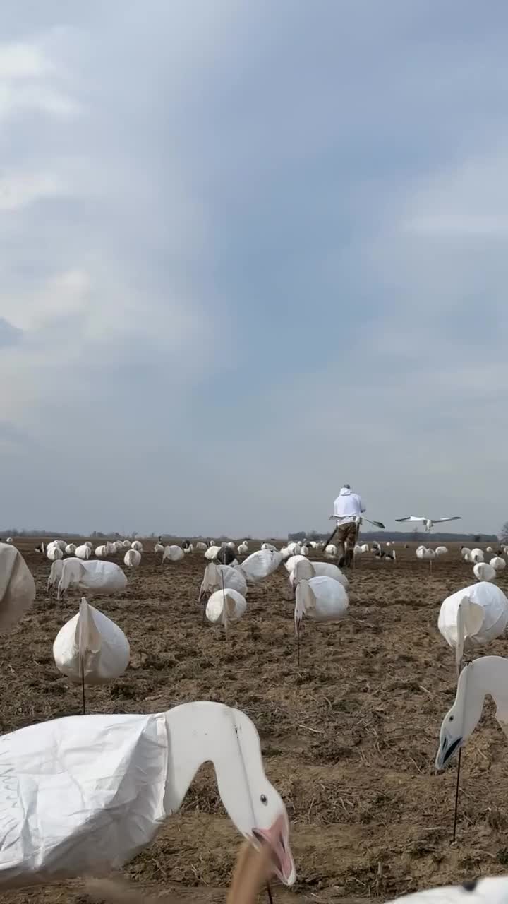 Video post from northernskiesoutfitters.