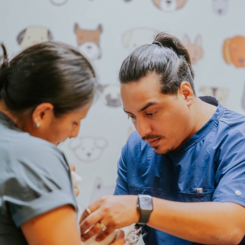 Photo post from medicalpettj.