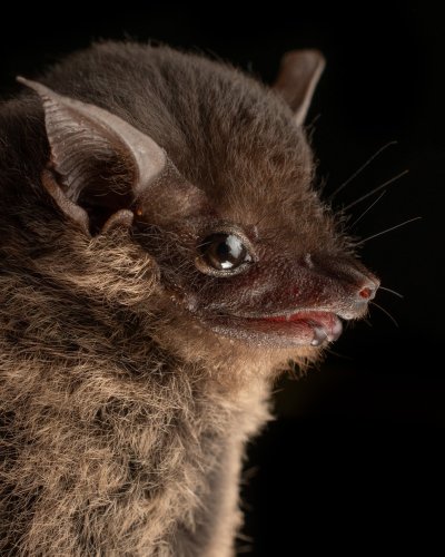 Photo post from josegabrielwildlife.