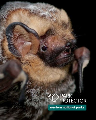 Photo post from westernnationalparks.