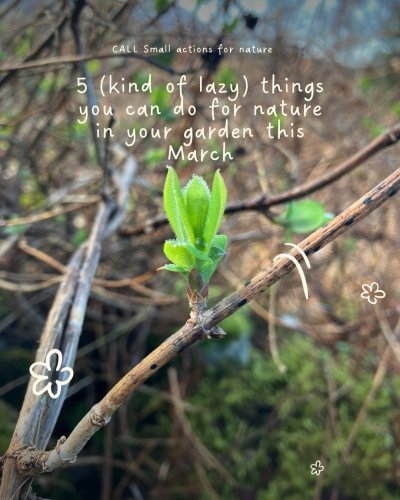 Carousel post from callclimateaction.