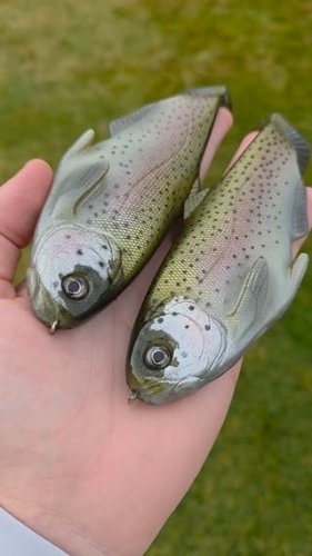 Video post from garrettscustoms.