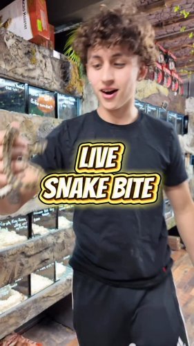 Video post from njexoticpets.