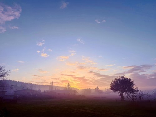 Carousel post from finnriver.