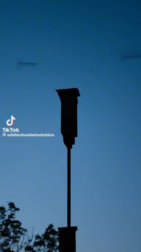 Video post from destinationdripping.