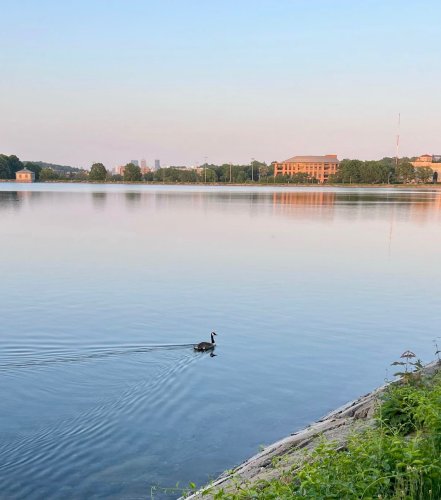 Photo post from bostoncollege.