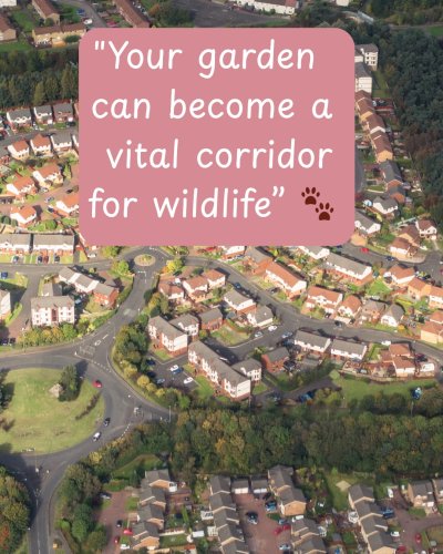 Carousel post from seed_ball.