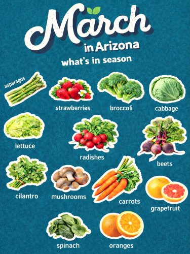 Photo post from farmbox_arizona.