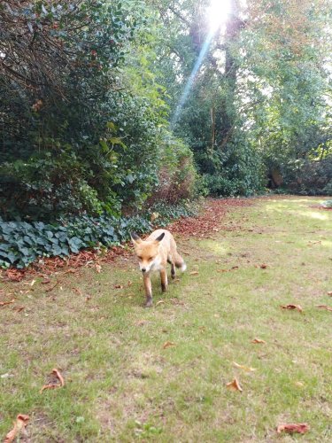 Photo post from books_scarves_and_beige.