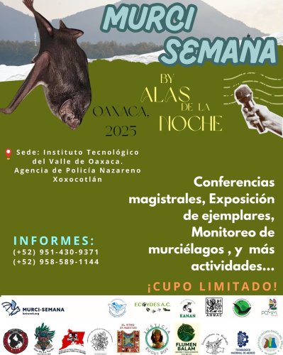 Photo post from alasdelanoche_.