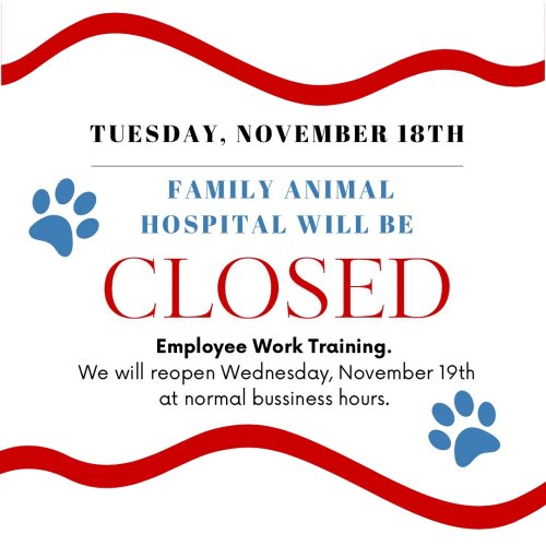 Photo post from familyanimalhospitalcm.