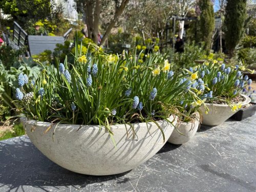 Carousel post from gardenhousebrighton.