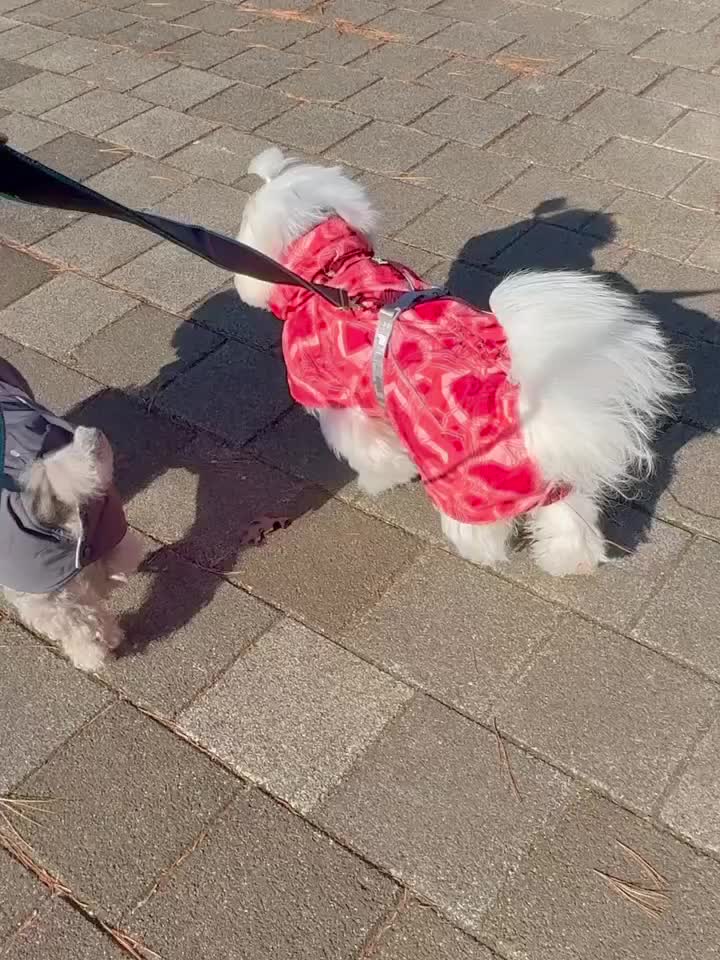 Carousel post from hurttakorea.