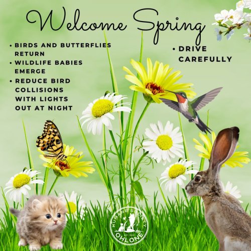 Photo post from ohshumanesociety.