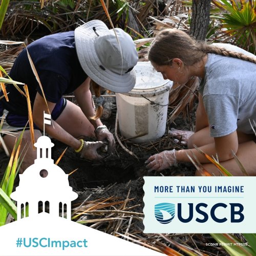 Photo post from uscbeaufort.