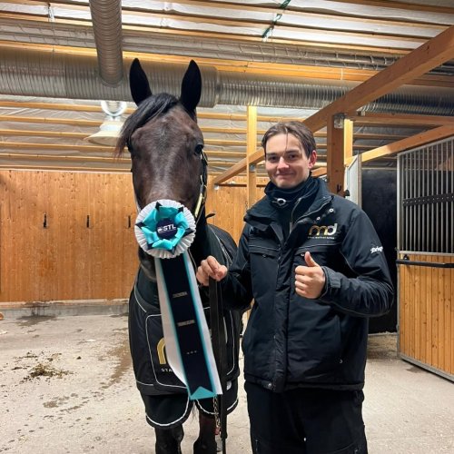 Fahrenheit tog hem en STL seger 🥇 Stallet fick även med sig två 🥈🥈 & en 🥉 i STL.  mattiasdjuse.se