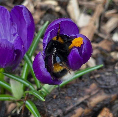Carousel post from seales.horticulture.