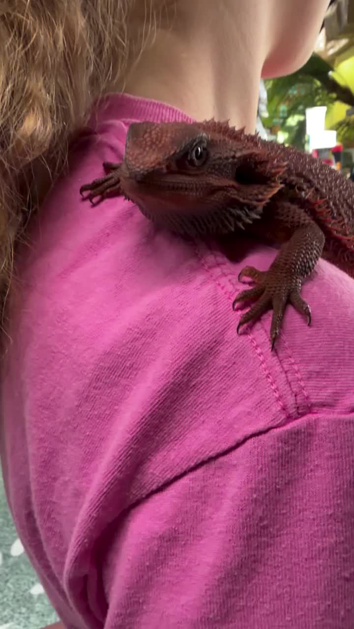 Video post from njexoticpets.