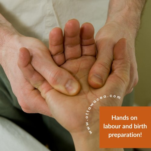 Photo post from ottawacea.