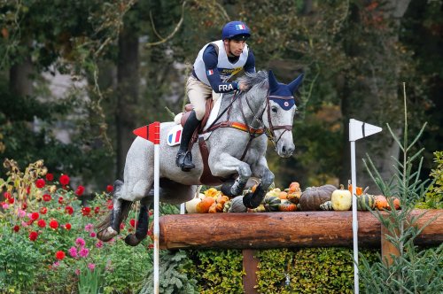 Photo post from fei_global.