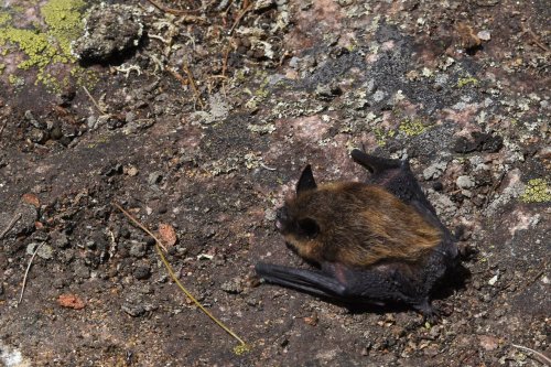 Photo post from gblandtrust.