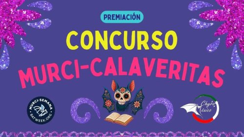 Carousel post from chyromx.