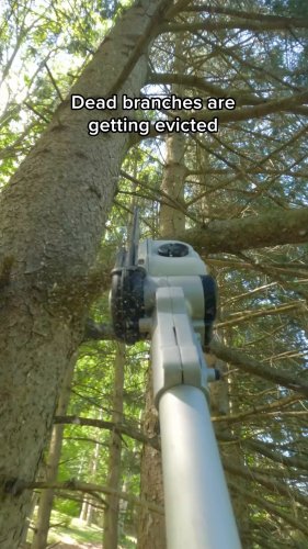 Photo post from dewalttough.