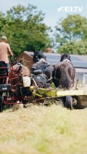 Video post from fei_global.