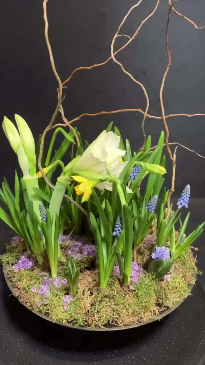 Video post from dellemannbloemen.