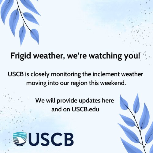 Photo post from uscbeaufort.