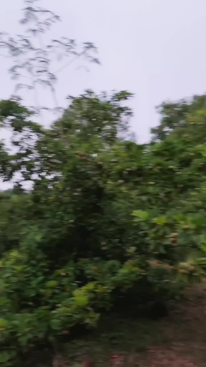 Video post from saahas_ngo.
