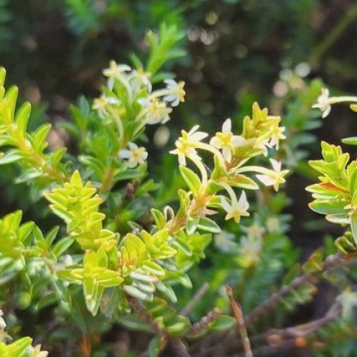 Photo post from fynboslife.