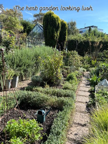 Photo post from gardenhousebrighton.