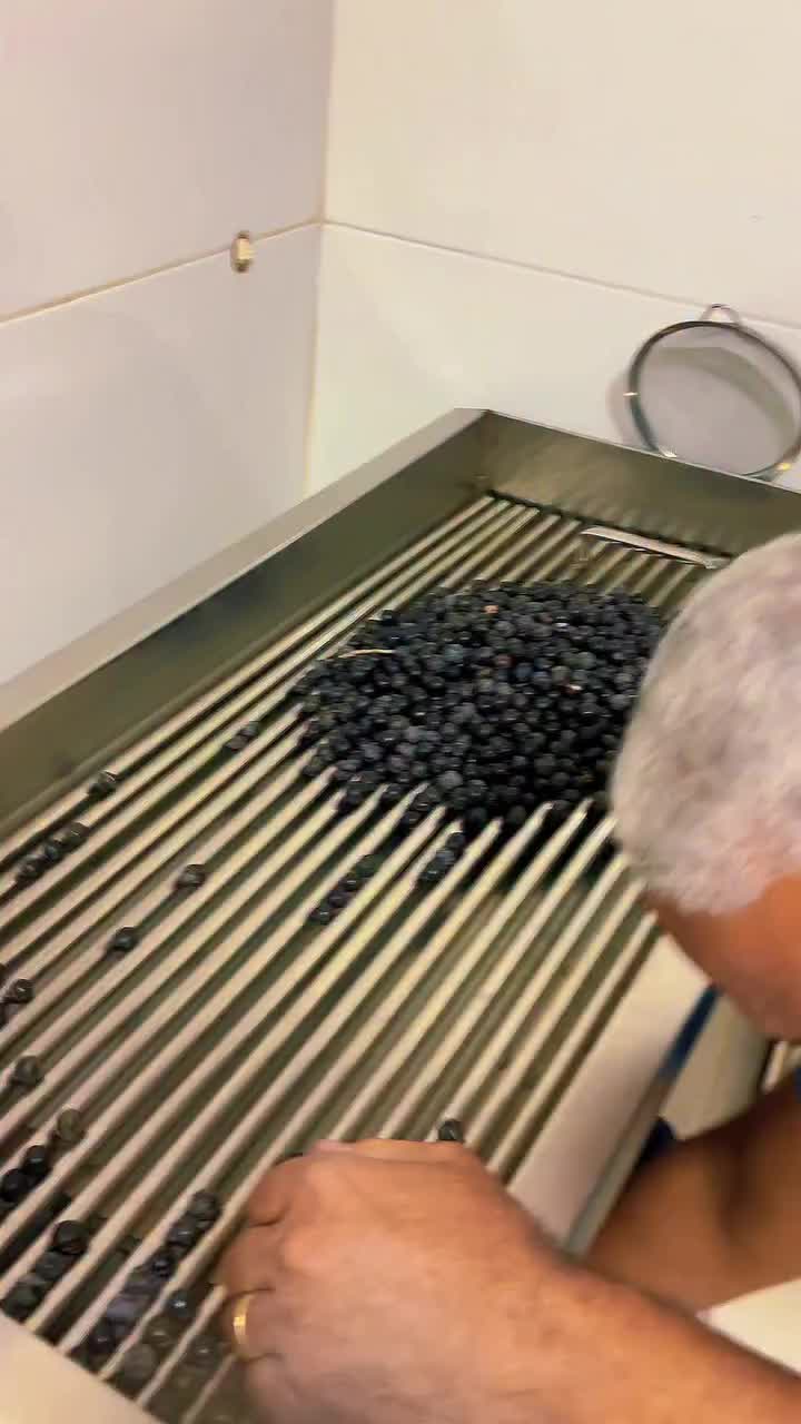 Video post from ananindeuapma.