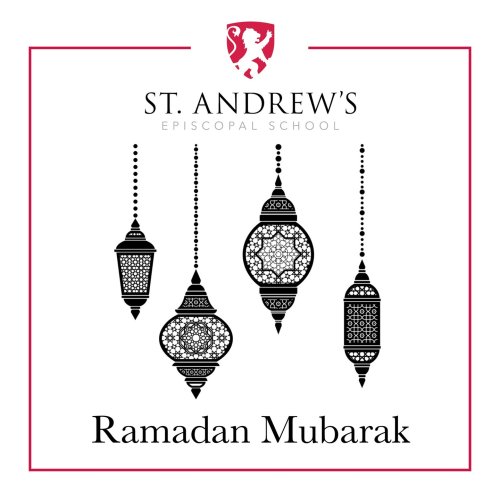 Photo post from saeslions.