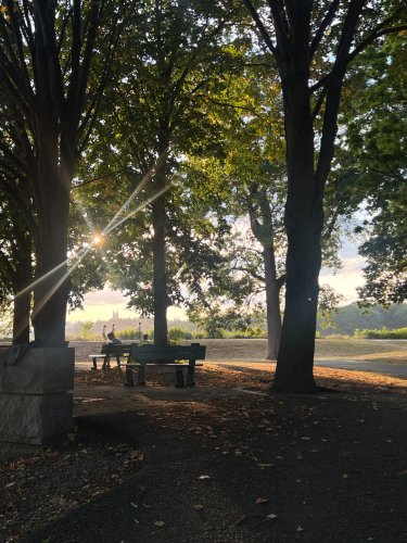 Photo post from bostoncollege.