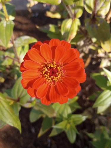 Carousel post from thebeeandbee042608.