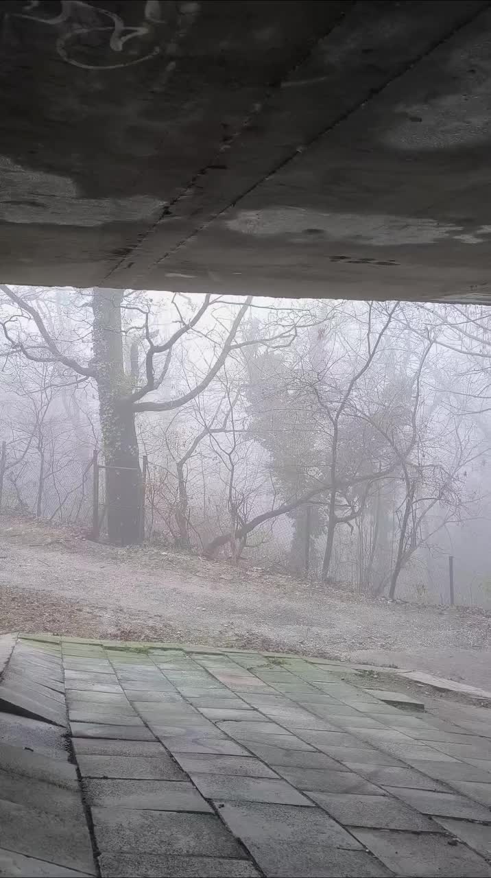 Video post from stefan_balaz_photography.