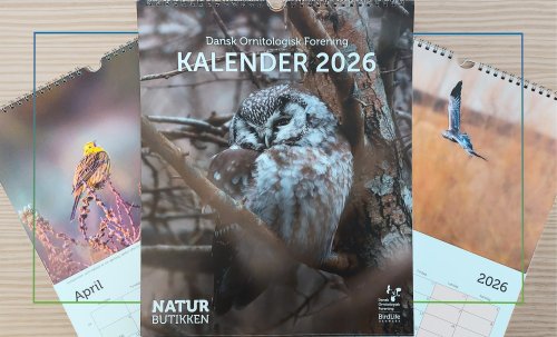 Photo post from naturbutikken.dk.