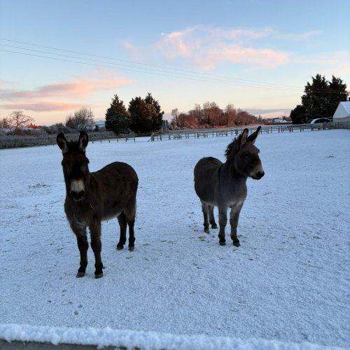 Carousel post from bramleynewspaper.