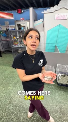 Video post from njexoticpets.