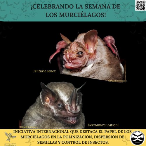 Photo post from fincacantaros.