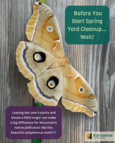 Carousel post from eco_justicecenter.