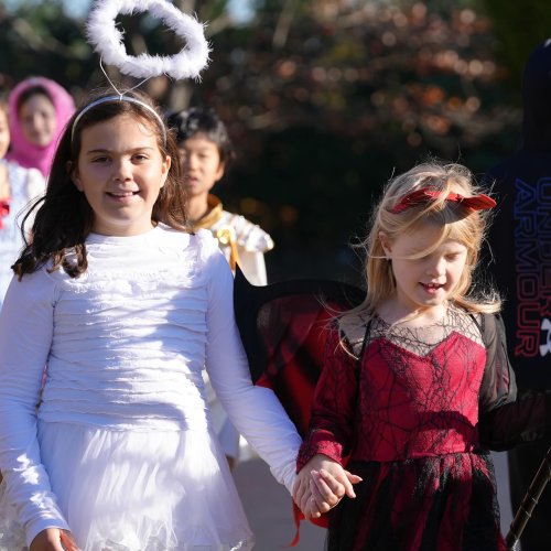 Carousel post from saeslions.