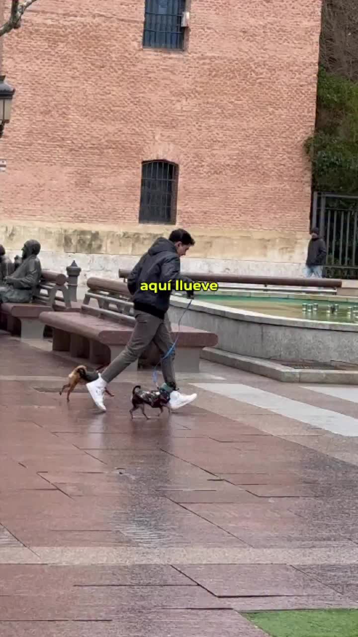 Video post from torrejonjoven.